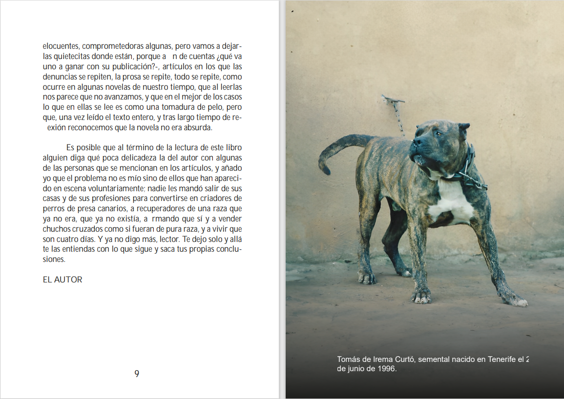 El Perro de Presa Canario, su verdadero origen. - Imagen 2